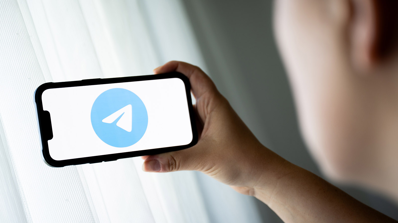 Это черный лебедь: блогеры и компании о будущем рекламы в Telegram и YouTube
