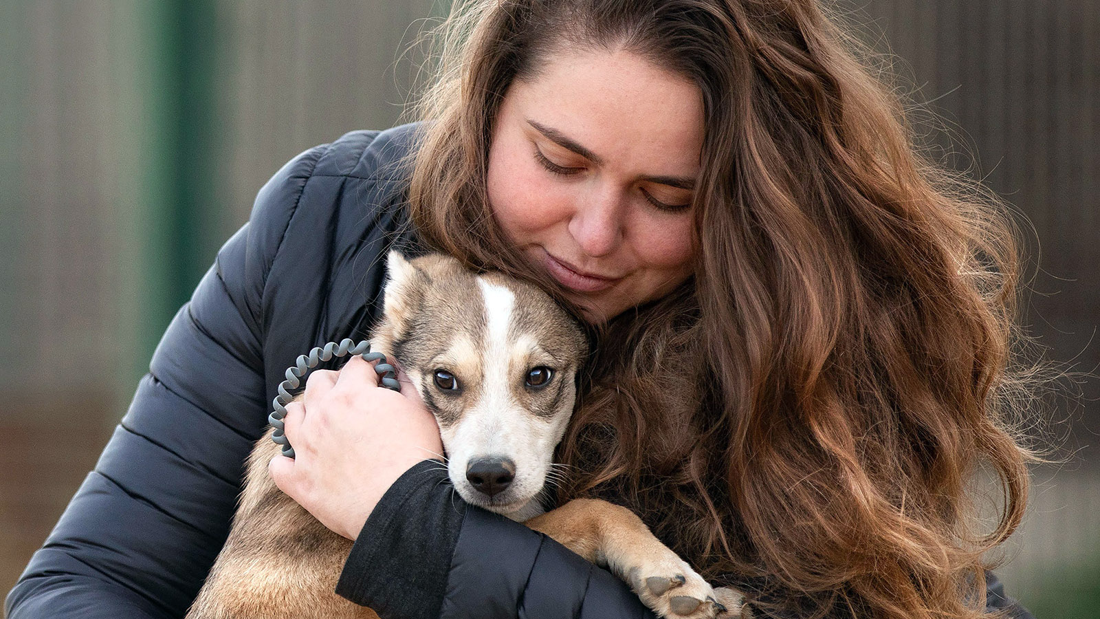 Это проблема всего общества: директор фонда Ника о помощи бездомным животным
