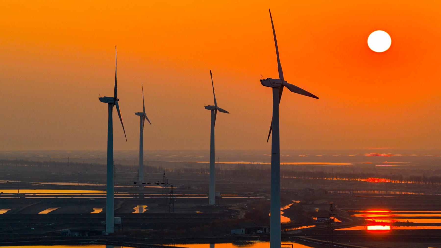 Устойчивые новости: штраф в 25 млн за гринвошинг и Экологический кодекс Китая