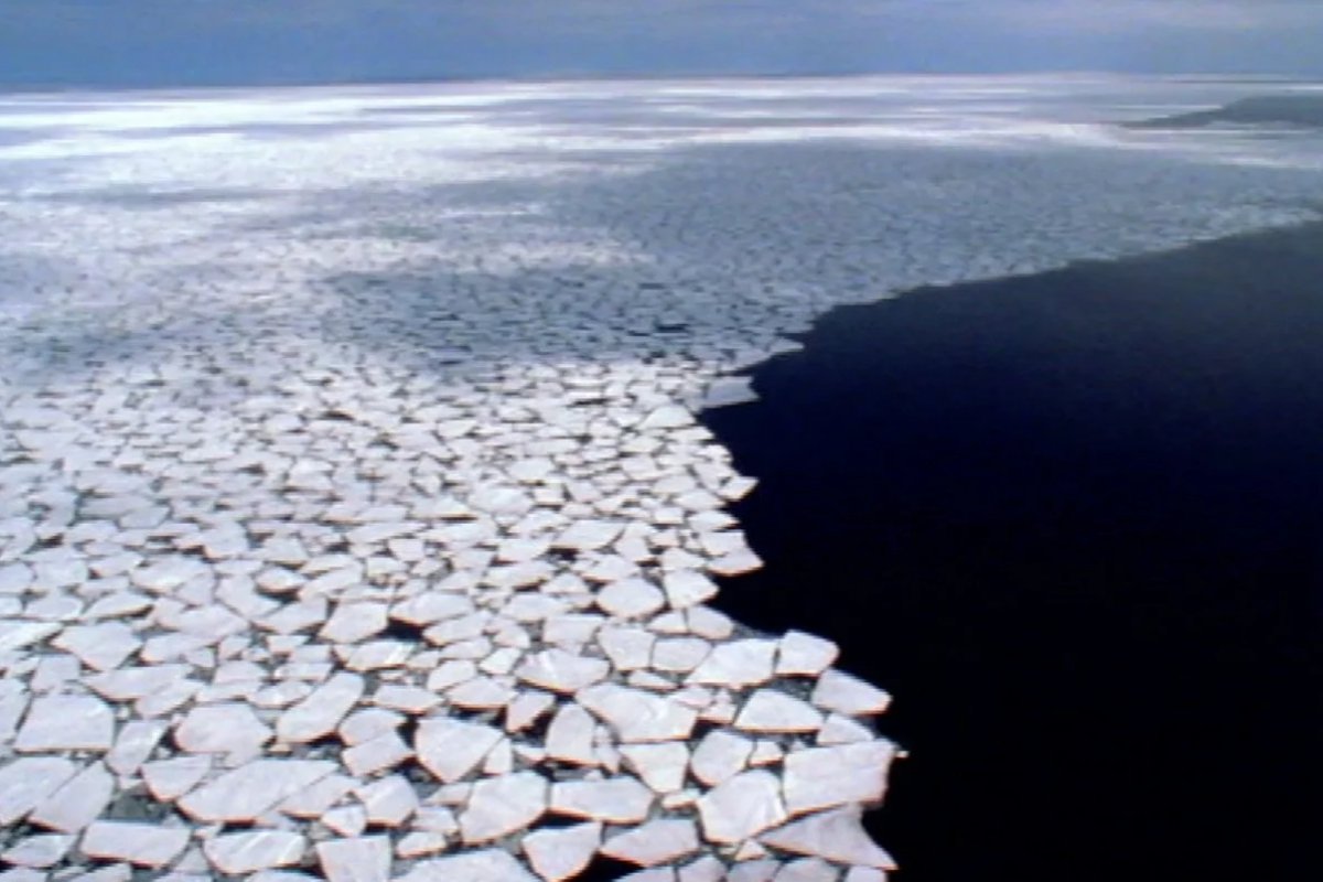 «Меняем ли мы Землю?» (Are We Changing Planet Earth?), 2006 год 