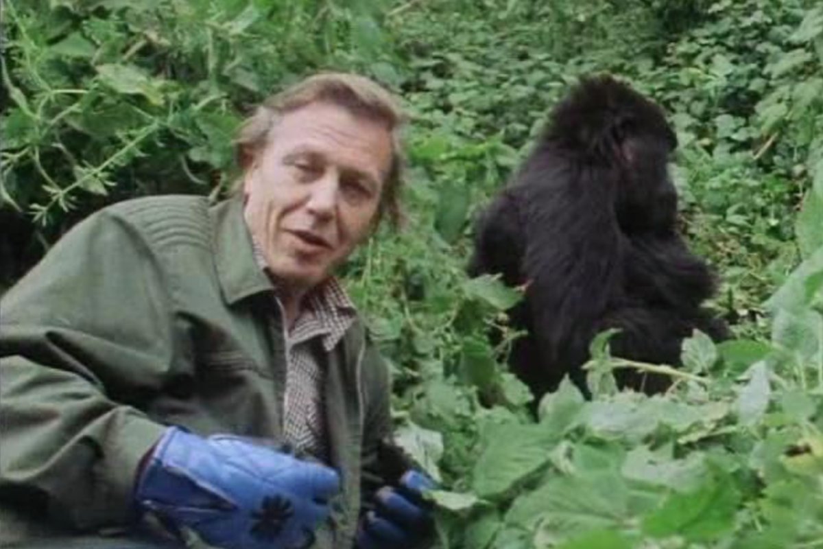 «Жизнь на Земле» (Life on Earth), 1979 год