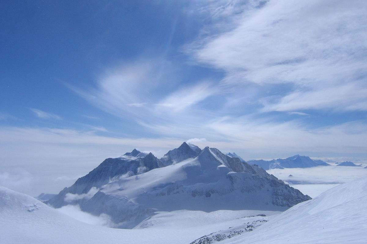 Винсон