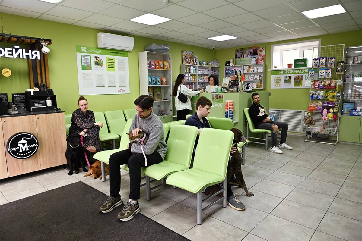 8. «Котонай»
