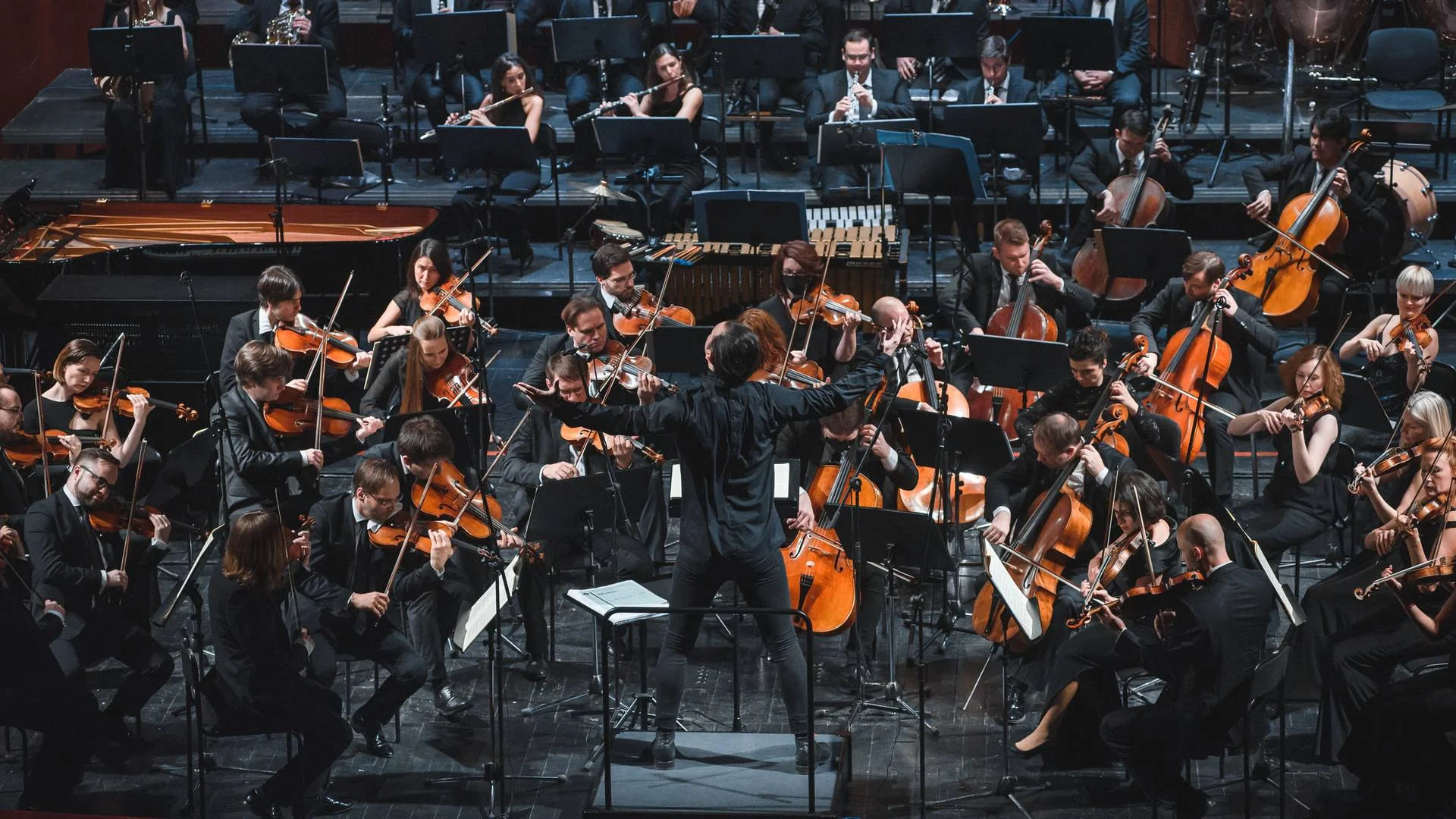 Фото musicAeterna Orchestra