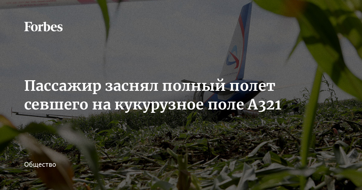 Кукурузное поле под защитой | Журнал BETAREN аgro - выпуск апрель № 3 (45)