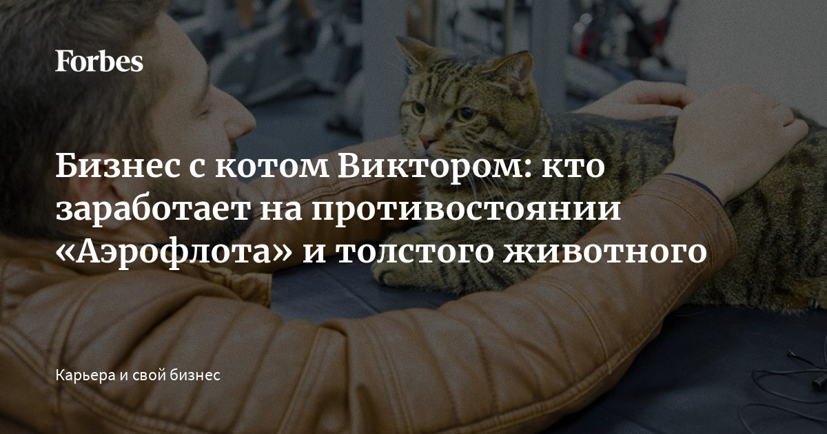 Бизнес с котом Виктором: кто заработает на противостоянии «Аэрофлота» и  толстого животного | Forbes.ru