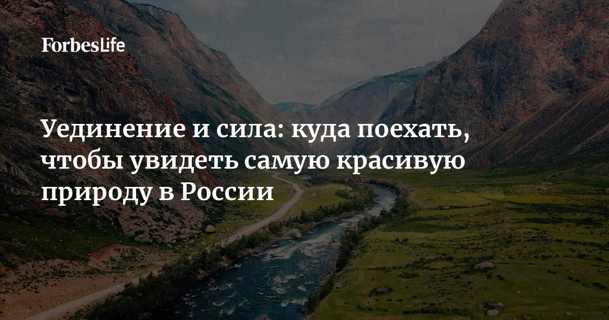 Фотоконкурс о дикой природе России продлен до 6 сентября (ВИДЕО)