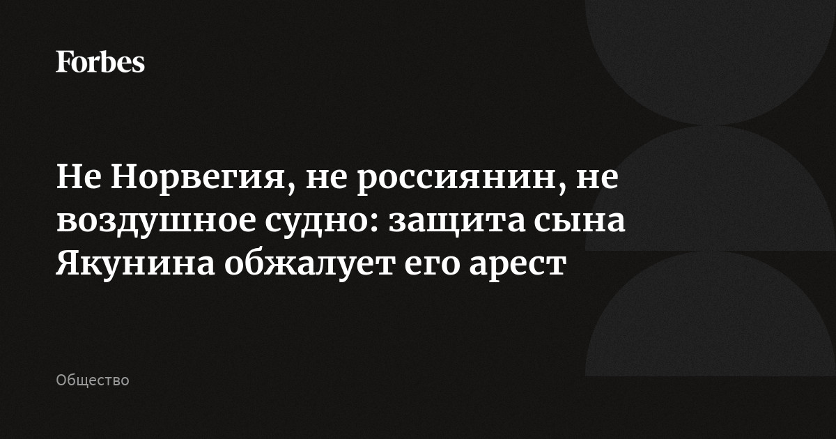Не Норвегия, не россиянин, не воздушное судно: защита сына Якунина обжалует его арест