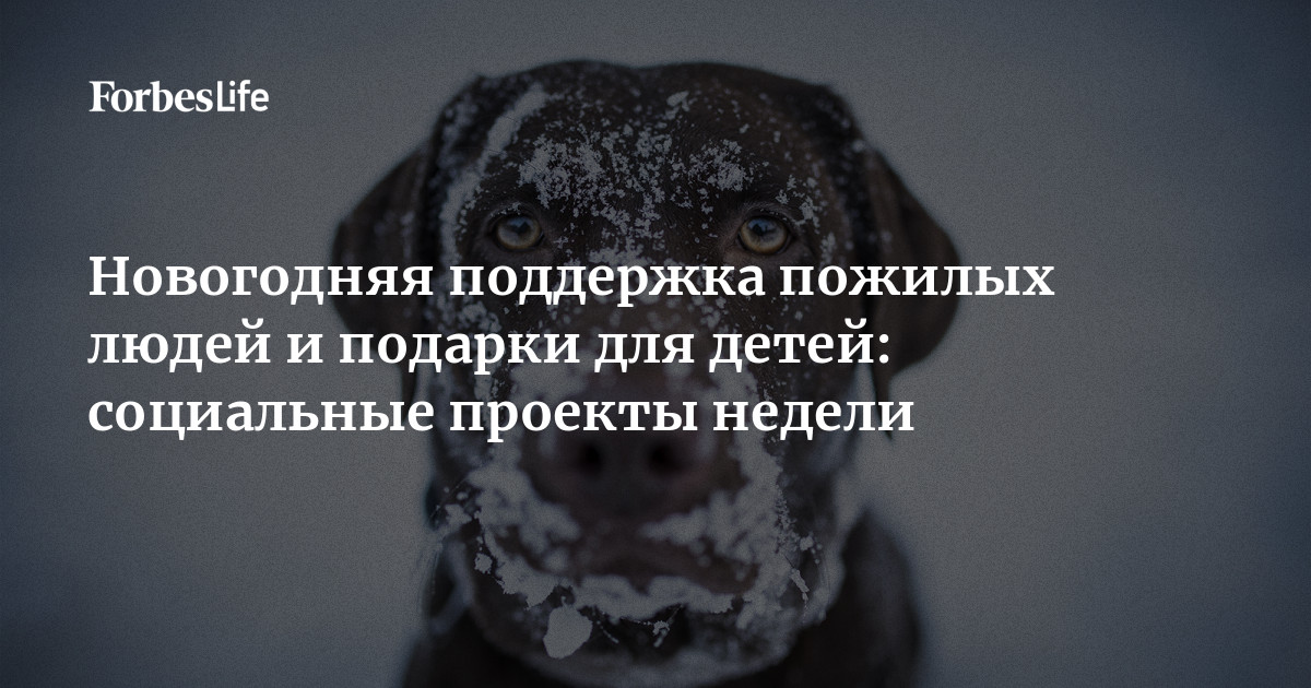 Новогодняя поддержка пожилых людей и подарки для детей: социальные ...