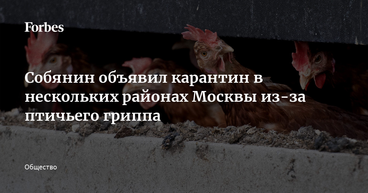 В москве объявили карантин. Проект реконструкции советского проспекта в спб. В москве объявили карантин. Фото москвы в карантин. Карантин в москве.