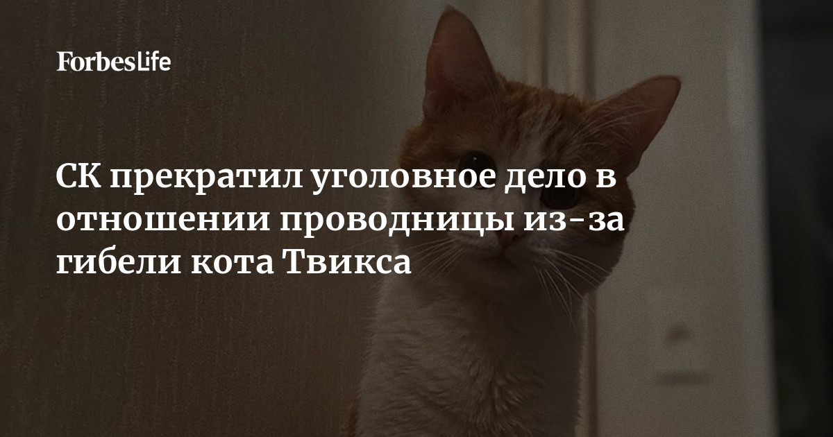 Как возбудить кота