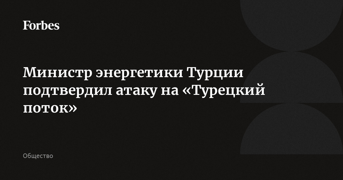 Министр энергетики Турции подтвердил атаку на «Турецкий поток»