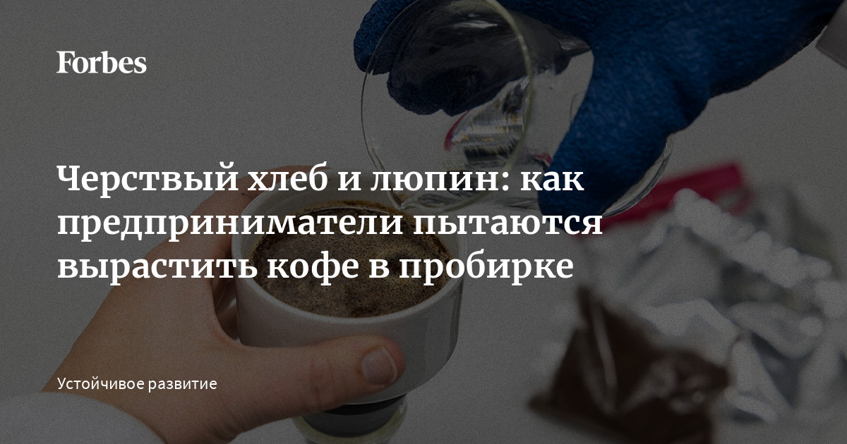 Черствый хлеб и люпин: как предприниматели пытаются вырастить кофе в ...