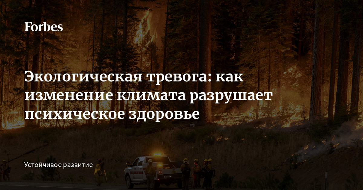 Климатический кризис и психическое здоровье: растущая тревога в эпоху перемен