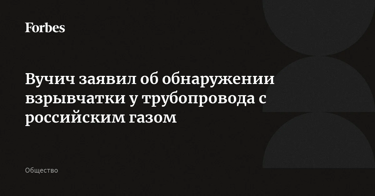 Сербский президент Вучич заявил об обнаружении взрывчатки в районе газовой инфраструктуры, соединяющей Сербию и Венгрию. По его словам, два больших пакета со взрывчаткой