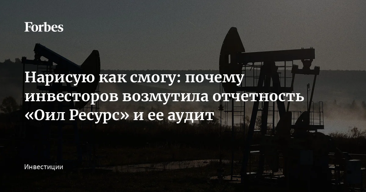 Ассоциация владельцев облигаций (АВО) пожаловалась Эльвире Набиуллиной на аудиторскую компанию «Пром-Инвест-Аудит». Она делала заключение по отчетности компании «