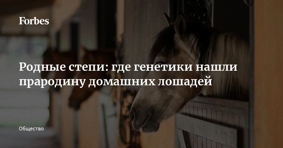 В последние годы ученые возобновили дискуссию о том, когда человек приручил лошадь. Научный обозреватель Forbes Анатолий Глянцев рассказывает о новом исследовании, уточняющем непростую
