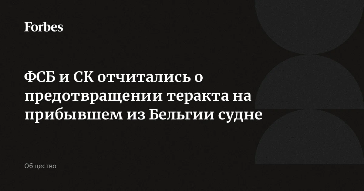 Несколько магнитных мин обнаружены на корпусе танкера-газовоза из Бельгии, который зашел на загрузку в порт Усть-Луга Ленинградской области, сообщили ФСБ и СК. Там отмет