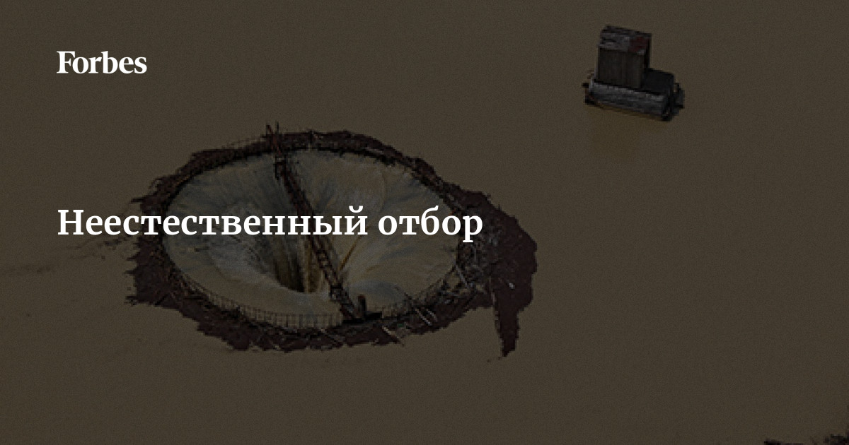 Неестественный отбор эдгара гранта Неестественный отбор эдгара гранта