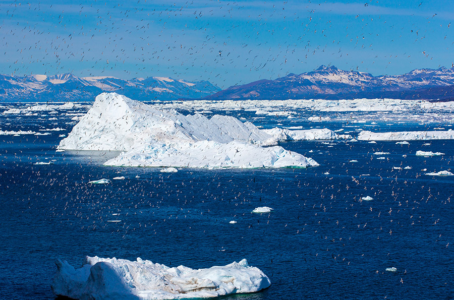 Фотографии участников конференции, сделанные у берегов Гренландии в июне 2014 года