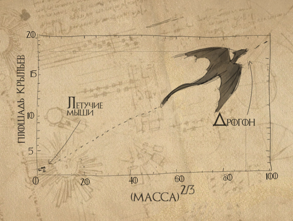 Зависимость площади крыльев от массы дракона